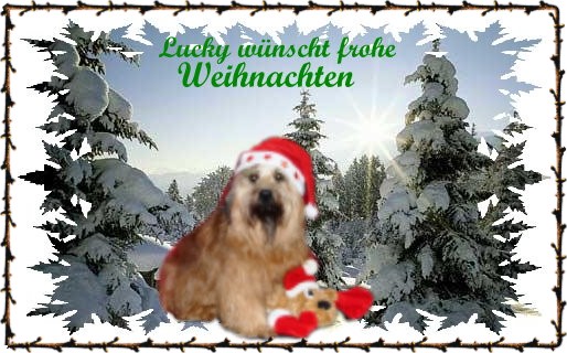 An den Beitrag angehängtes Bild: http://www.bascobolo.de/assets/images/luckys-Weihnachtsgruss-2016-4.jpg